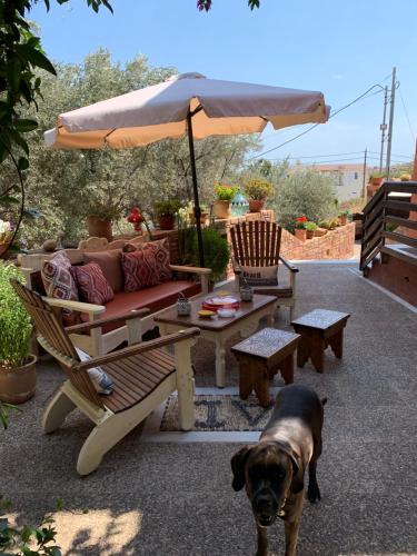 a dog standing next to a table and an umbrella at AnnaDes Apartments & Studios Chios in Karfas