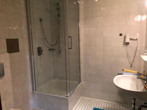 y baño con ducha y lavamanos. en Hotel Elfenberg, en Schieder-Schwalenberg