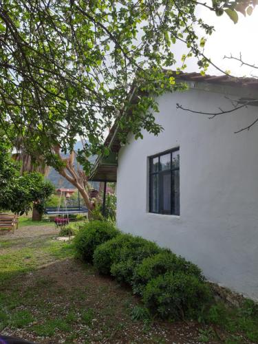 a white building with a window and some bushes at Cirali Friends Pension&Camping in Cıralı