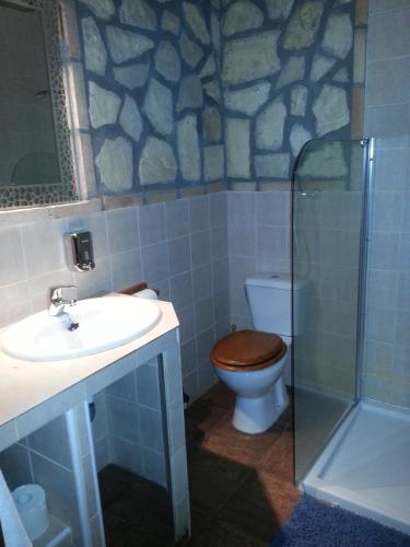 a bathroom with a toilet and a sink and a shower at Posada de los Cónsules in Consuegra