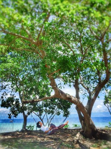 two birds sitting under a tree near the water at Ancelle Cristo Re in Moalboal