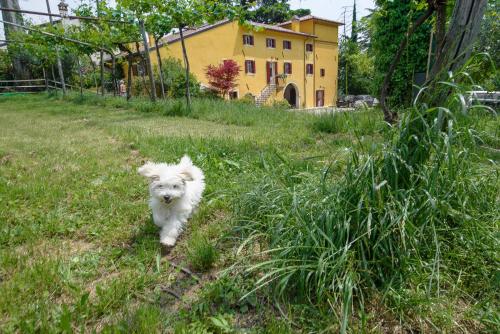 Gallery image of B&B Corte Jago in Negrar