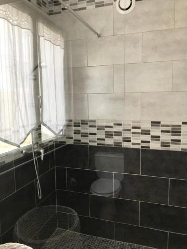 a bathroom with a shower with a toilet at la villa du clos avec "spa" in Cayeux-sur-Mer