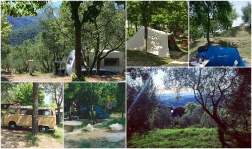 Camping Le Soline – Photos 2