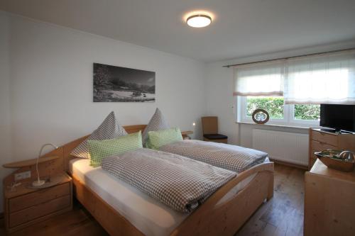 een slaapkamer met een bed, een televisie en een raam bij Alpenflair Ferienwohnungen Whg. 226 Wiesacker in Oberstdorf