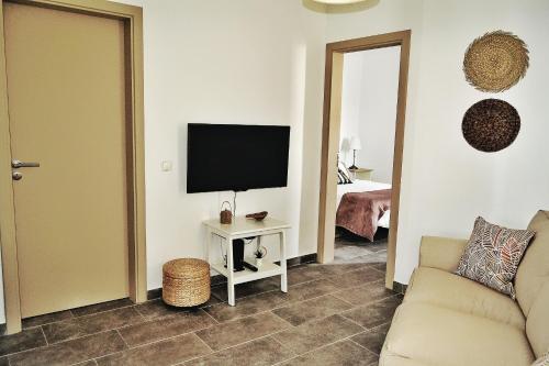 a living room with a couch and a television at Recanto do Ti Zé in Aldeia do Mato
