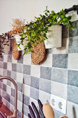 a kitchen counter with potted plants on a checkered counter top at Recanto do Ti Zé in Aldeia do Mato