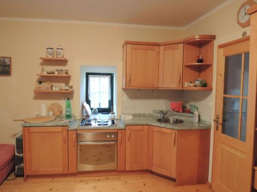 a kitchen with wooden cabinets and a sink at Vineyard Cottage Zdolsek in Šmarje pri Jelšah