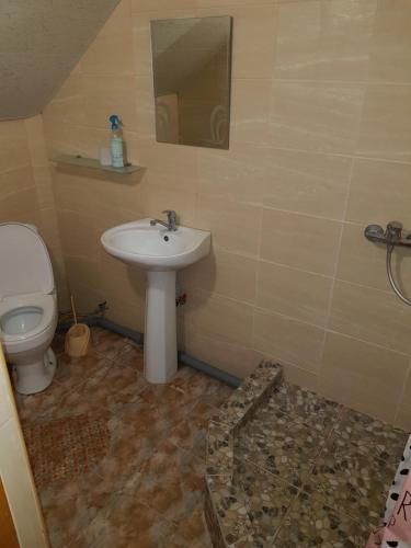 a bathroom with a sink and a toilet at Kolyba Complex in Umanʼ