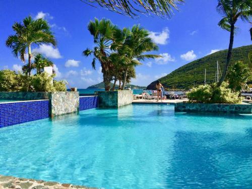 a swimming pool with blue water and palm trees at Ocean Front Sapphire del Mar B-107 in St Thomas