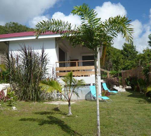 a small palm tree in front of a house at Location LAGON Marie-Galante in Capesterre-de-Marie-Galante