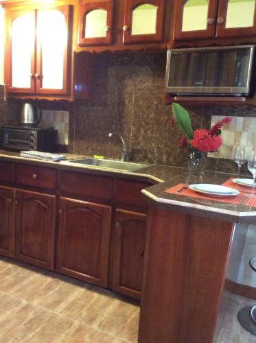 a kitchen with wooden cabinets and a counter with a sink at Jamaica Dream Gateway in Richmond