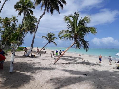 a group of people on a beach with palm trees at flat na praia de maragogi in Maragogi