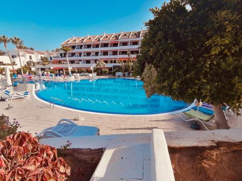 Americas Holiday Home, Playa de las Americas – Updated 2022 ...