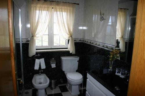 a bathroom with a toilet and a sink and a window at Quinta das Murtinheiras in Lamego