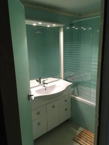 une salle de bain avec un lavabo et un grand miroir dans l'établissement La Mongie, apt 30m2 centre station, à Bagnères-de-Bigorre