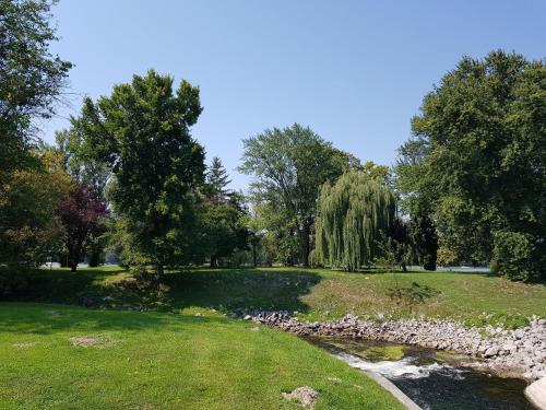 a stream in a park with trees and grass at Duna Dráva Vendégház in Érsekcsanád