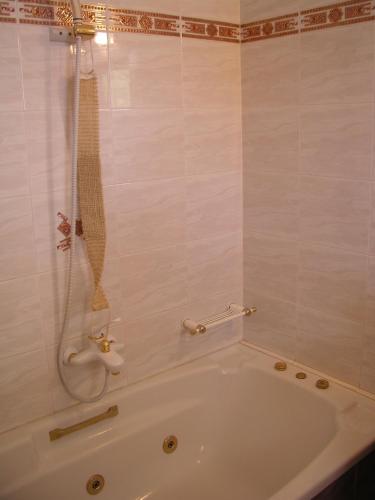 a bath tub in a bathroom with a shower at Olympus Mytikas Apartment in Litochoro