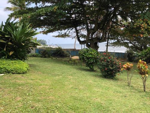 a yard with a tree and some bushes and flowers at OCEAN-SI Mansion in Kribi