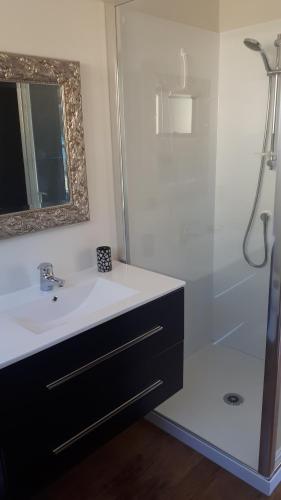 a bathroom with a sink and a shower at Marlborough Sounds Accommodation in Havelock