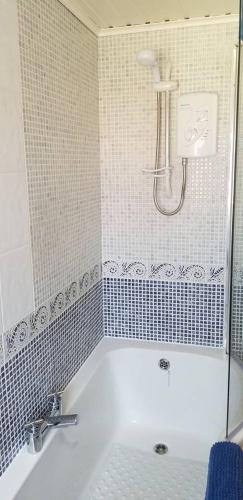 a bathroom with a shower and a tub with a sink at ADAIR HOUSE in Ballymena