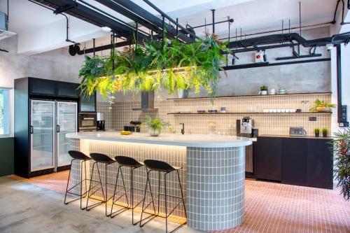 a kitchen with a large counter with plants above it at Habyt Cantonment - formerly Hmlet Cantonment in Singapore