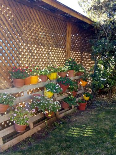 a bunch of potted plants on a wooden fence at Hotel Altos de Tuqui in Ovalle
