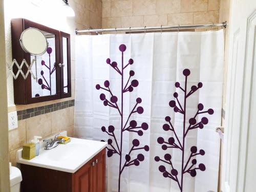 La salle de bains est pourvue d'un rideau de douche et d'un lavabo. dans l'établissement The Cherry Blossom House, à Miami