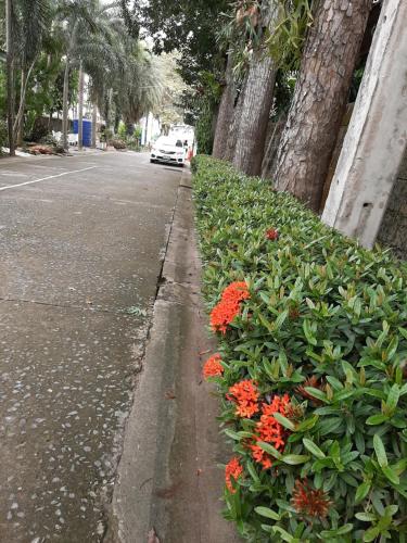 Φωτογραφία από το άλμπουμ του สตาร์ รีสอร์ท (สี่แยก จปร) σε Nakhon Nayok