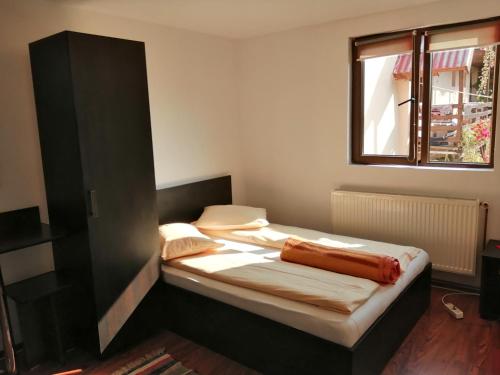 ein kleines Bett in einem Zimmer mit Fenster in der Unterkunft Cabana Ada 1 in Vartop