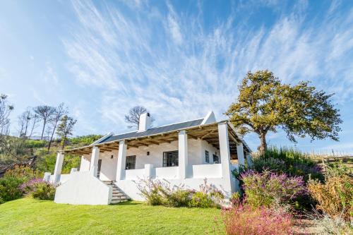 a white house on a grassy hill with a tree at Druk My Niet Wine Estate in Paarl