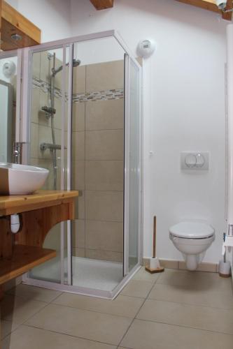 a bathroom with a shower and a toilet at Les Chalets du Chaberton, Pied de pistes et Spa in Montgenèvre