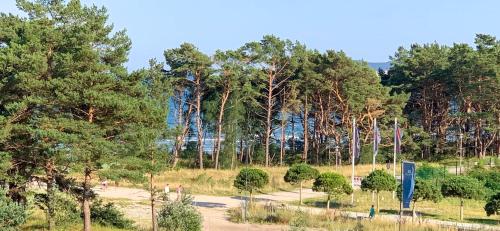 Inselloft Rügen - Meerblick, Pool & eigener Strandzugang photo 44