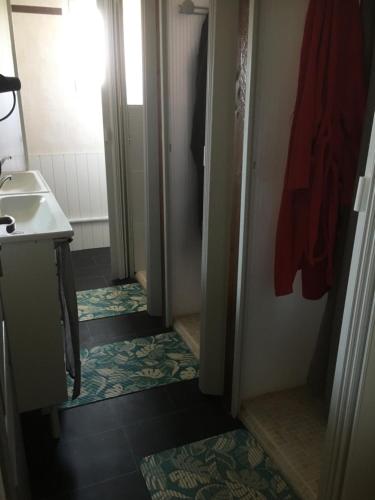 een kleine badkamer met een wastafel, een toilet en een deur bij Les maisons de TIMI ....maison Héron in Belin