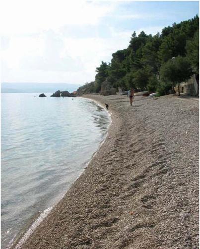 Φυσικό τοπίο κοντά σε αυτό το διαμέρισμα