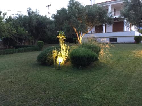 a garden with a light in the middle of a yard at CASA DI MADI in Chalkida