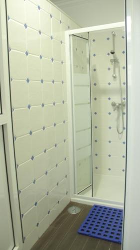 a shower with a glass door in a bathroom at Hostel 2300 Thomar in Tomar