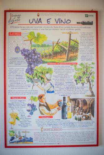 a picture of a poster with grapes and wine at Agriturismo Trefrutti in Arco