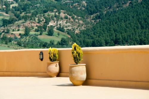 two vases with flowers in them sitting on a ledge at Gîte Raid Oriental in Taforhalt