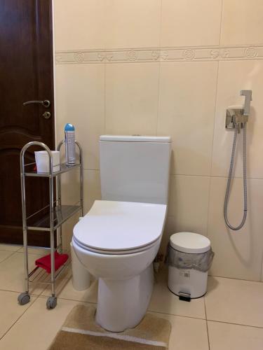 a bathroom with a white toilet and a shower at Apartment on Pastukhova 31 in Pyatigorsk
