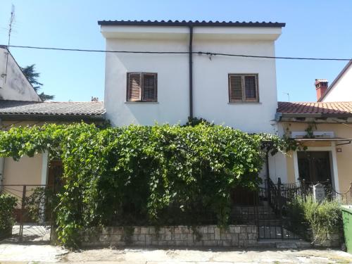 Apartma Zalka في إيزولا: منزل أبيض محاط بسياج نباتي