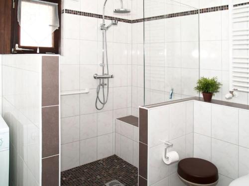 a bathroom with a shower and a toilet at Ferienwohnung keine Monteurvermietung Nähe Heidelberg Hockenheim BDS Anlage in Philippsburg