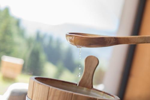 Gallery image of Hotel Chalet Dolomites in Alpe di Siusi