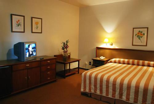 um quarto de hotel com uma cama e uma televisão em Planalto Hotel em Canoinhas