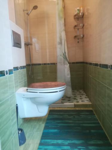 Apartma Zalka في إيزولا: حمام مزود بمرحاض ودش