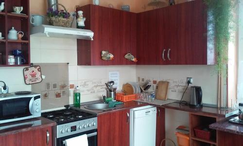a kitchen with a sink and a stove top oven at Homestay Stróżówka in Gorlice