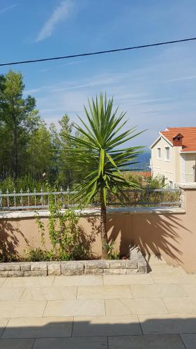 a palm tree in front of a fence at Villa Kety in Prigradica