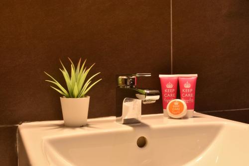a bathroom sink with a potted plant on it at Welc-oM Casa Anna in Padova