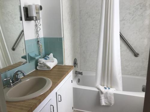 a bathroom with a sink and a shower curtain at Shenvalee Golf Resort in New Market