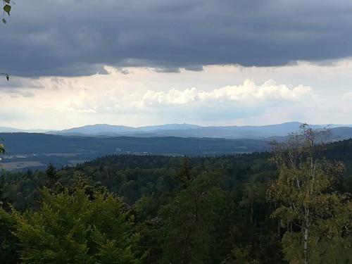 a view from the top of a hill with trees at Novohradské hory - pronájem na samotě u lesa in Benešov nad Černou